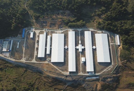 najnowsza sprawa firmy na temat Farma 500 macior na Filipinach