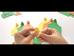 OEM ODM Identyfikatory inwentarza żywego TPU Niestandardowe kolczyki dla krów 11 * 7,5 cm