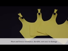 PP PE Identyfikatory żywego inwentarza Grawerowane kolczyki na uszy dla bydła odpornego na wilgoć